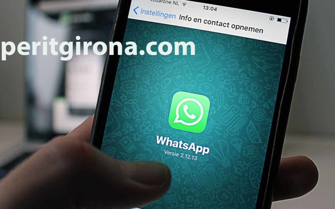 ▷ Cóm presentar un whatsapp com a prova? ✅